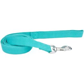 Coastal Pet New Earth Soy Dog Lead (Option: Mint Green)